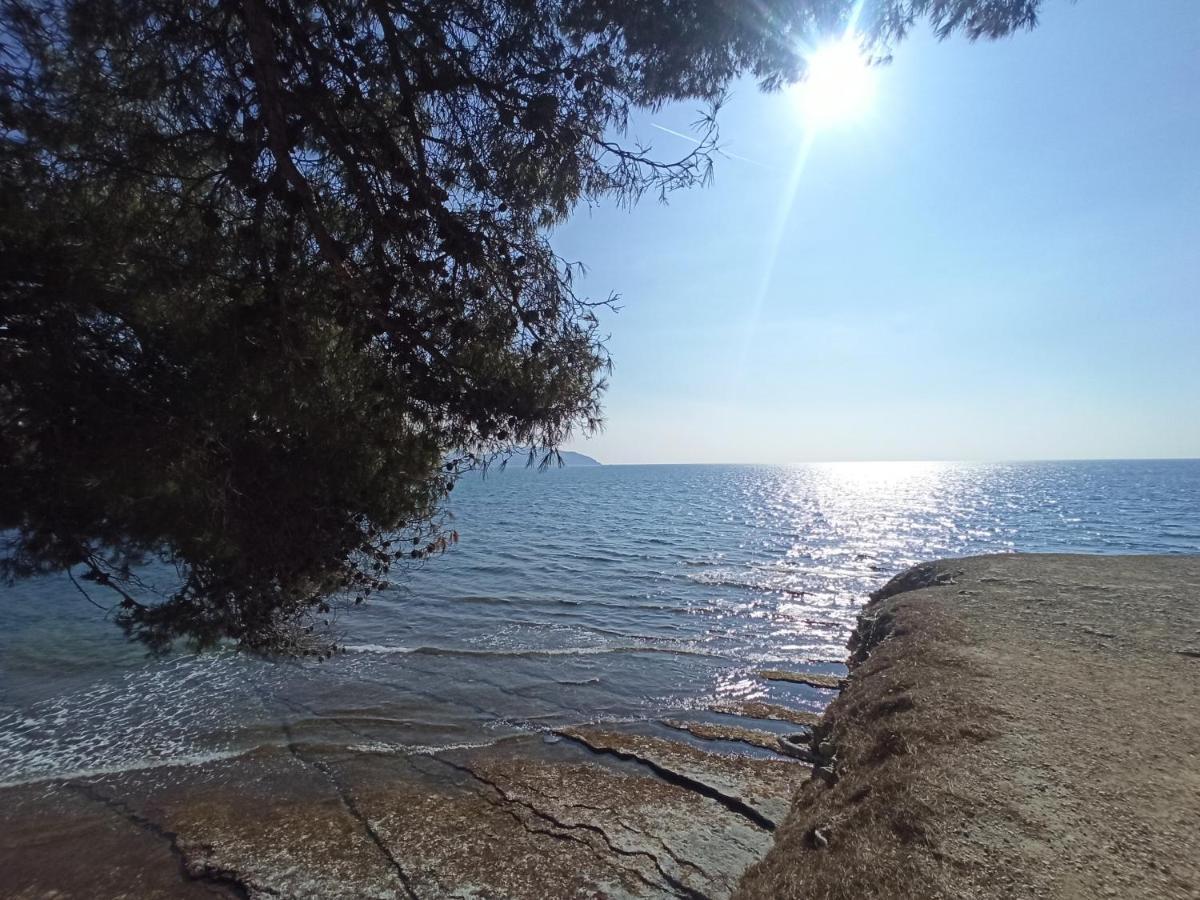 Appartement Ete Indien - Plage - Wifi - Host Provence à La Ciotat Extérieur photo